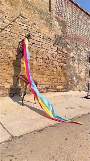 Super Jumping Dog 🐕💨 | Unbelievable Skills! 😱🔥