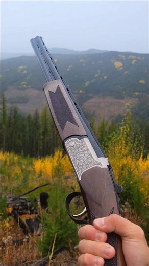 This 20 gauge shotgun was my latest impulse purchase