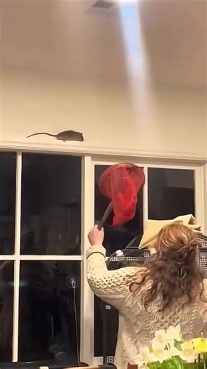 Discover the Latest Tech Magic with BalliBotMogis