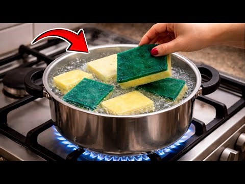 10 Crazy Kitchen Hacks That Actually Work 😱 (Don’t Miss #7!) |Bridge for Hungers