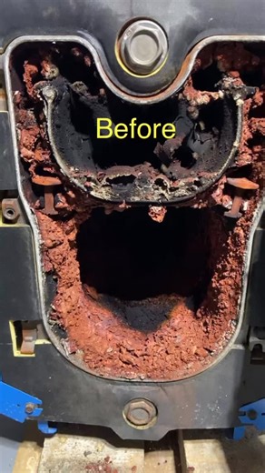 17 reactions | Now that is how you clean a Buderus Boiler!  Some companies may charge less for cleanings… but are they this clean and thorough?! 樂 路‍♂️ Why guess when you know #dutchdoesitbetter | Dutch Oil Co., Inc. & Dutch Propane, LLC | Facebook
