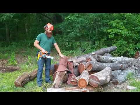 Electric Chainsaw vs Chaps