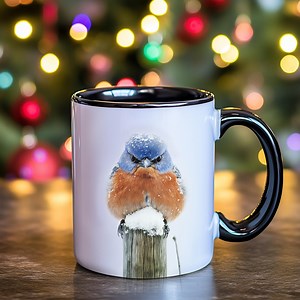 Grumpy Eastern Bluebird Mug, 11oz Ceramic| Bluebird Coffee Cup | Bluebird Lover Gift | Angry Bluebird | Cute Bluebird Coffee Mug - Etsy