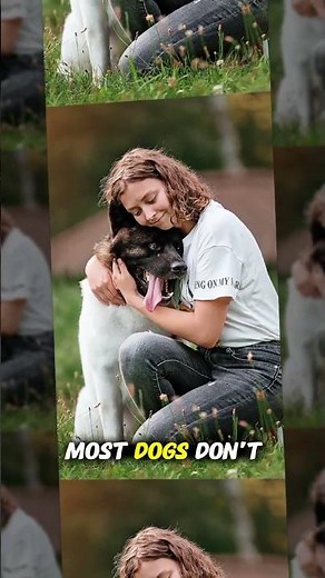 Why You Shouldn’t Hug Your Dog Too Tightly 🐶💞 #doglove