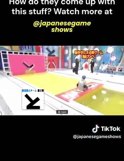 Exploring the Madness of Japanese Game Shows