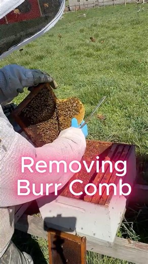 Removing Burr Comb