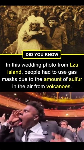 Gas Mask Wedding on Japan's "Toxic Paradise" Island! 💍😷