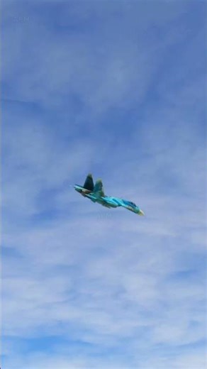 Su-27 Flanker fly pass