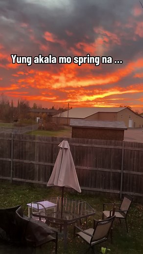 Syreese Summer☀️ on TikTok