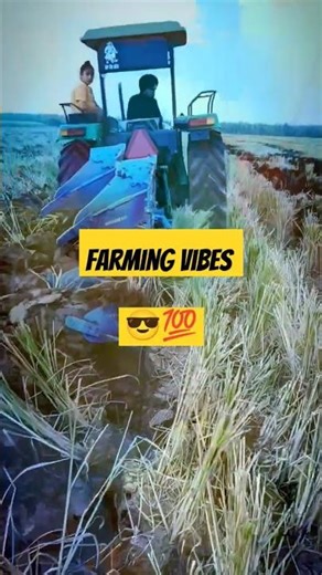 Real Paddy Field Life 🌾 | Irrigation & Harvesting Scenes | Mitti De Rang Agri Farming