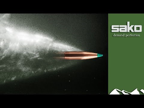 Bullet finder: how to choose the right hunting ammunition