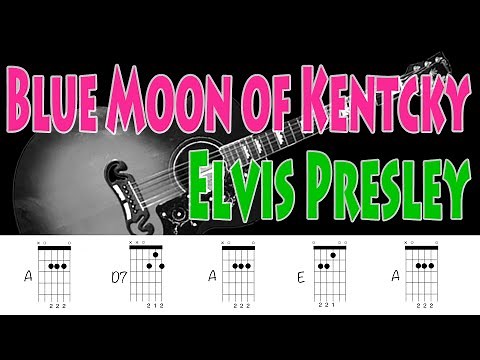 Blue Moon of Kentcky Elvis Presley Guitar Chords