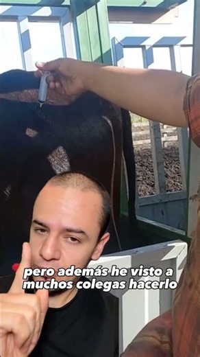 How to properly inject horses: this is how it's done #tutorial #animals