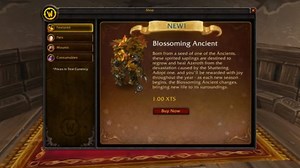 World of Warcraft is getting an in-game store for mounts and pets