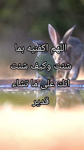 اذا خفت من احد تخشاه #احاديث #اكسبلور #viral #viralvideo #youtubepartnerperks #fypシ #fypシ゚viral