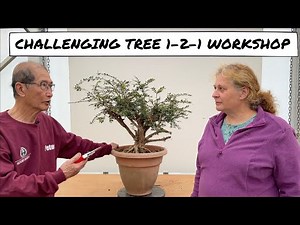 Challenging Tree 1 2 1 Workshop