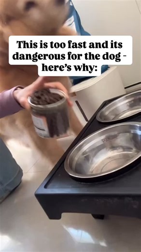 15K views | Eating too fast can induce vomiting or even worse, bloat....