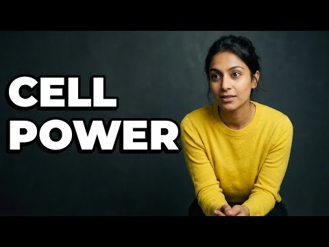 What Is The Role Of Coupled Reactions In Metabolism?