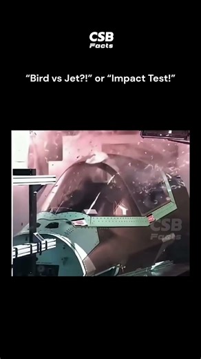 F-35 Bird Strike Test 🤯✈️ | “Chicken Gun” Explained