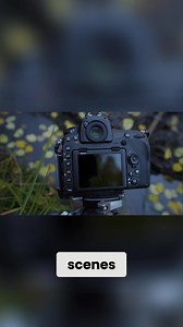 Shooting small intimate Leaves during fall color in Colorado. #photography #moodygrams #OurPlanetDaily #travel #earth | Derek Sturman Photography