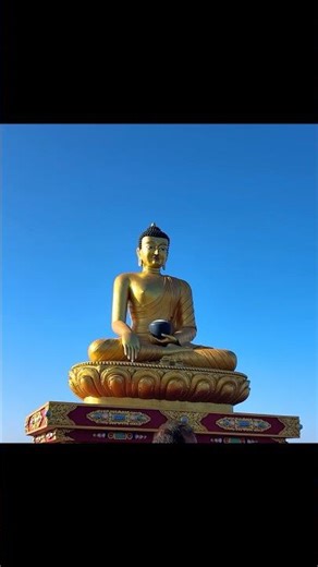 Dalai hill Mussoorie 🌻🏔️ #utrakhand #dalaihills #mussoorie #solotravel