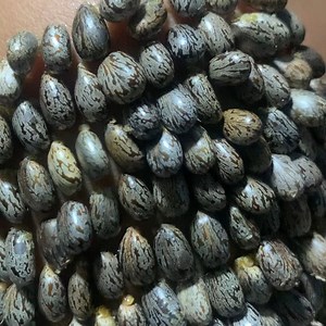 25K views · 273 reactions | Tick Removal: A Step-by-Step Guide #ticks | Luke Herrera | Facebook