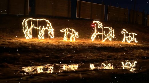 DRIVE THROUGH HOLIDAY LIGHT SHOW! The holidays are here, and so is the magic! Drive through our spectacular light show, filled with vibrant displays, festive colors, and pure holiday joy. Perfect for families, friends, or even a cozy date night. This year’s show is bigger and better than ever—all put together by the incredible Bridgeport Motorsports Park team. Tickets are going fast! Don’t wait to secure your spot. Thursday to Sunday: 5:00 PM - 10:00 PM Starting December 19: Open Daily, 5:00 PM 