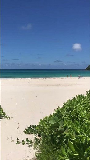 Flamenco Beach, Culebra, Puerto Rico: Why This Top-Rated Beach Is a Must-See!