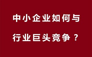 中小企业如何与行业巨头竞争？