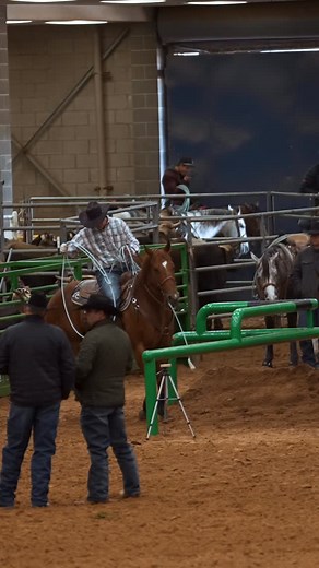 1.2K views · 67 reactions | Rounds 1 & 2 of the @americanropehorse heading #lfproductions #arhfa #headhorses #teamroping #amarillotx #videographer # | Lindsey Farrell Productions | Facebook
