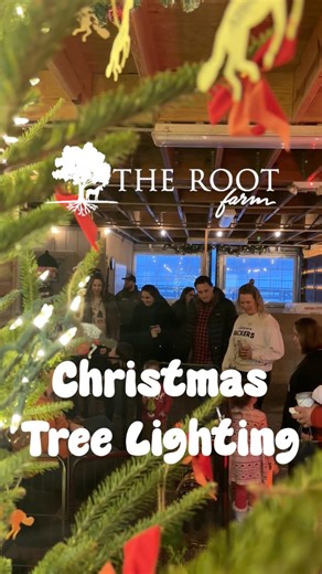 Thanks to everyone who joined us for our annual Christmas tree lighting it was loads of fun. | The Root Farm