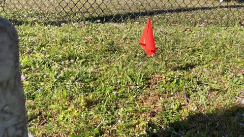 Radar discovers 31 unmarked gravesites at historically Black cemetery in South Melbourne