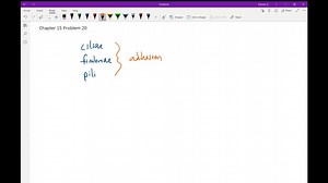 SOLVED:Cilia, fimbriae, and pili are all examples of structures used by microbes for .