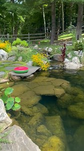 1.3K views · 35 reactions | Dive into clarity! Our expert maintenance keeps even a 10-foot-deep pond like this one crystal clear and stunning. ✨ #PondMaintenance #WaterGarden | Garden State Koi Pond & Waterfall Design Center | Facebook