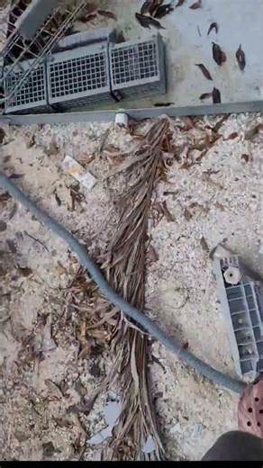 I'm just poking around.