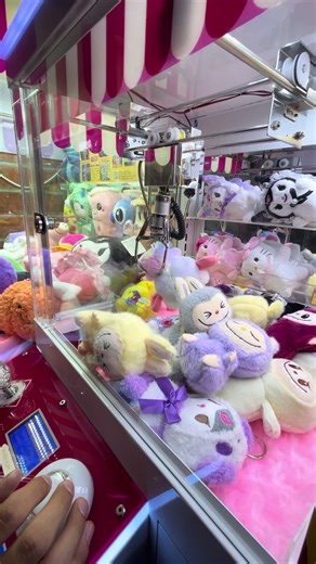 Claw Machine Adventure: No Prize, But Great Experience!