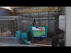 NO - Mess Hay Feeder Rack