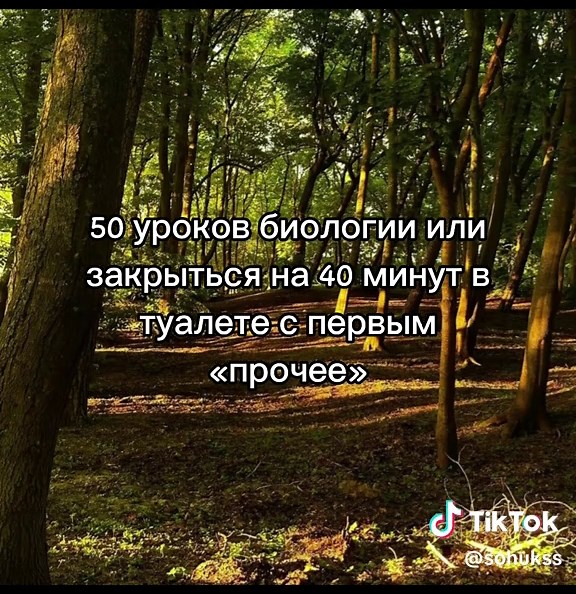 Туалетные лайфхаки: Как выбрать идеальный унитаз