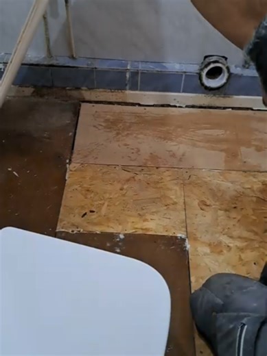 Antz Maintenantz on TikTok