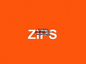 Cartoon Zips Sound Effects