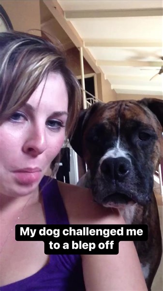 8.2K views · 238 reactions | Dog definitely won #dutchpet #hellodutch | Dutch | Facebook