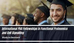 International PhD Fellowships in Functional Proteomics and Cell Signalling, Denmark - Scholarship Positions 2024 2025