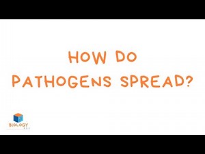 GCSE Biology - Infection & Response #2 - How do pathogens spread?