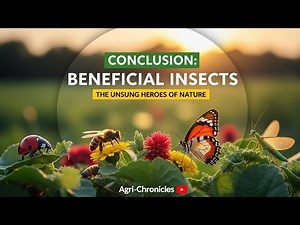 Overview of beneficial insects: The conclusion