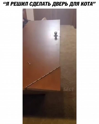 Metal Spring Interaction Demonstration