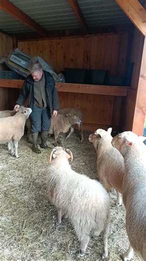 Sport matinal 😂 | L'Aurore