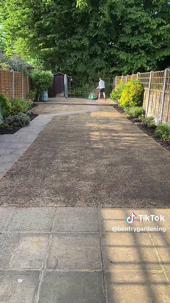 Scalping and Scarifying Your Lawn: A Step-by-Step Guide