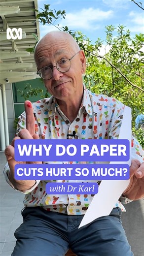 The law of maximum inconvenience strikes again 📄 🎤: Dr Karl Kruszelnicki 🎧: Hear more Science With Dr Karl on the ABC listen app. #Paper #PaperCut #Pain | ABC Science