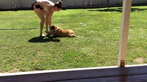 This dog really doesn't want to take a bath (Via JukinVideo) | HuffPost UK Life