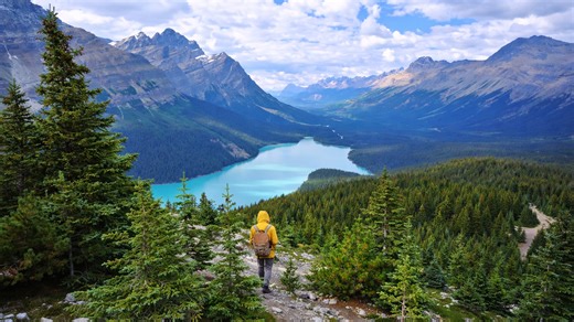 Peyto Lake in the Canadian Rockies